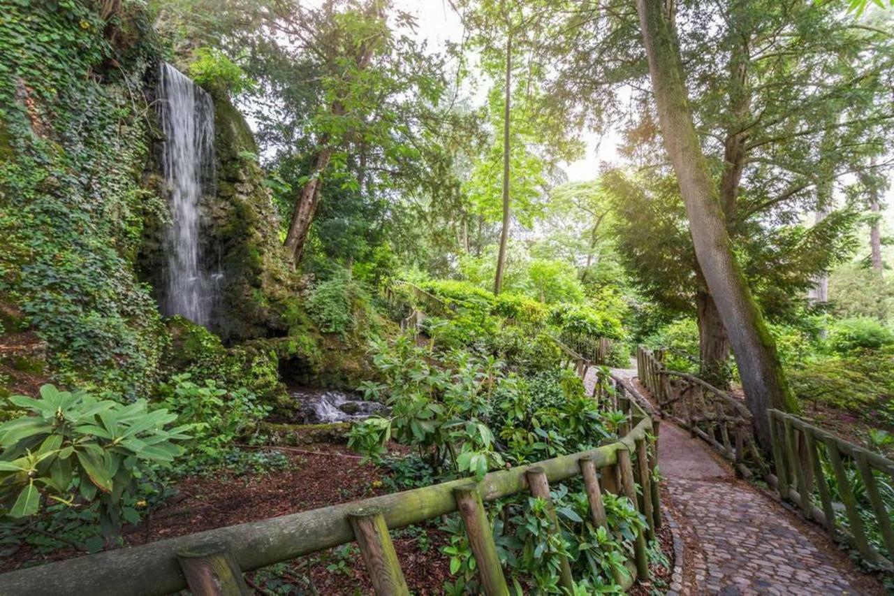 Calme Appart Renove Jardin Des Plantes Busca Toulouse Dış mekan fotoğraf